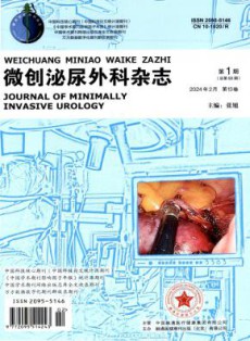 微创泌尿外科